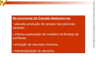 ParteintegrantedaobraGeografiaHomemeEspaço,EditoraSaraiva
Na economia do Canadá destacam-se:
• elevada produção de cereais nas planícies
centrais;
• intensa exploração de madeira na floresta de
coníferas;
• extração de recursos minerais;
• industrialização do alumínio.
 