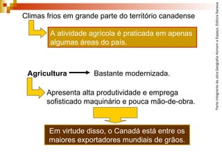ParteintegrantedaobraGeografiaHomemeEspaço,EditoraSaraiva
Em virtude disso, o Canadá está entre os
maiores exportadores mundiais de grãos.
Climas frios em grande parte do território canadense
A atividade agrícola é praticada em apenas
algumas áreas do país.
Agricultura Bastante modernizada.
Apresenta alta produtividade e emprega
sofisticado maquinário e pouca mão-de-obra.
 