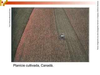 ParteintegrantedaobraGeografiaHomemeEspaço,EditoraSaraiva
YannArthues-Bertrand/Corbis
Planície cultivada, Canadá.
 