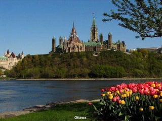 Ottawa 