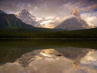 Apresentação por Renato Cardoso 
