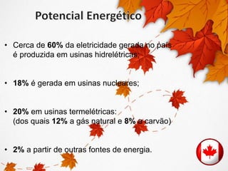 • Cerca de 60% da eletricidade gerada no país 
é produzida em usinas hidrelétricas; 
• 18% é gerada em usinas nucleares; 
• 20% em usinas termelétricas: 
(dos quais 12% a gás natural e 8% a carvão) 
• 2% a partir de outras fontes de energia. 
 