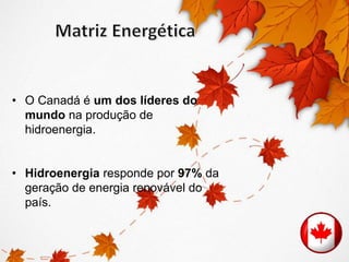 • O Canadá é um dos líderes do 
mundo na produção de 
hidroenergia. 
• Hidroenergia responde por 97% da 
geração de energia renovável do 
país. 
 