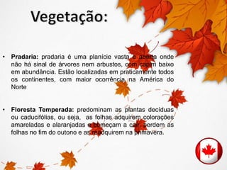 • Pradaria: pradaria é uma planície vasta e aberta onde 
não há sinal de árvores nem arbustos, com capim baixo 
em abundância. Estão localizadas em praticamente todos 
os continentes, com maior ocorrência na América do 
Norte 
• Floresta Temperada: predominam as plantas decíduas 
ou caducifólias, ou seja, as folhas adquirem colorações 
amareladas e alaranjadas e começam a cair, perdem as 
folhas no fim do outono e as readquirem na primavera. 
 