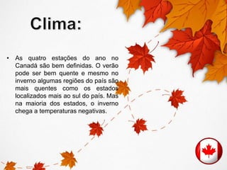 • As quatro estações do ano no 
Canadá são bem definidas. O verão 
pode ser bem quente e mesmo no 
inverno algumas regiões do país são 
mais quentes como os estados 
localizados mais ao sul do país. Mas 
na maioria dos estados, o inverno 
chega a temperaturas negativas. 
 