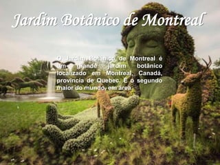 Jardim Botânico de Montreal 
O Jardim Botânico de Montreal é 
um grande jardim botânico 
localizado em Montreal, Canadá, 
província de Quebec. É o segundo 
maior do mundo, em área. 
 