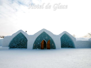 Seminário Canadá 8°Ano