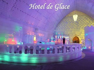 Seminário Canadá 8°Ano