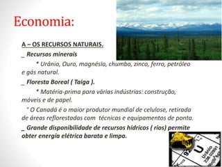 Economia:
• A – OS RECURSOS NATURAIS.
• _ Recursos minerais
• * Urânio, Ouro, magnésio, chumbo, zinco, ferro, petróleo
e gás natural.
• _ Floresta Boreal ( Taiga ).
• * Matéria-prima para várias indústrias: construção,
móveis e de papel.
• ° O Canadá é o maior produtor mundial de celulose, retirada
de áreas reflorestadas com técnicas e equipamentos de ponta.
• _ Grande disponibilidade de recursos hídricos ( rios) permite
obter energia elétrica barata e limpa.
 