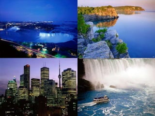 As Províncias da Pradaria Províncias de Pradaria incluem a Manitoba, Saskatchewan e Alberta. Essas províncias são, às vezes, tratadas como "o cesto de pão do mundo", pois fornecem o trigo e outros grãos para alimentar milhões de pessoas.As milhas aparentemente infinitas de campos de grão, com o horizonte só interrompido pelos elevadores de grão, ocasionalmente, certamente fornecem uma paisagem espetacular, algo que não será facilmente esquecido.Há grandes lagos interiores, com grandes praias, como o Lago do Winnipeg, na Manitoba, e o Lago La Ronge, em Saskatchewan, os quais também oferecem oportunidades de pesca excelentes.