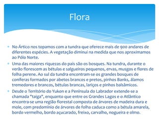 Na zona costeira do Pacífico, graças à umidade, surge uma exuberante vegetação formada por coníferas como o abeto Douglas, cedro vermelho, abeto de Sitka e abeto de Canadá ocidental.