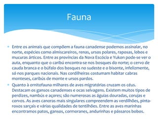 Os amantes das aves encontrarão territórios ideais ao longo de todo Canadá (especialmente no litoral de Fundy - concretamente nesta última região contabilizaram-se recentemente mais de 350 espécies).Por outro lado, a riqueza em espécies marinhas é impressionante. Na British Columbia pode-se encontrar peixes como o salmão, lucio, perca e umbra. No Atlântico bacalhau, cavala, peixe espada e, em especial, atum gigante. De água doce encontram-se a truta e o salmão Atlântico. Nos rios de Quebec há grande quantidade de lucios, robalos, trutas e "ouananiches", uma espécie de salmão. O peixe almiscaleiro, a truta, o robalo, a perca e o esturjão percorrem as incontáveis águas do Ontario.Se a viagem coincidir com a temporada é "quase obrigatório" desfrutar do espetáculo que constitui a observação de grandes cetáceos. 
