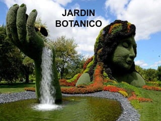 JARDIN
BOTANICO

 