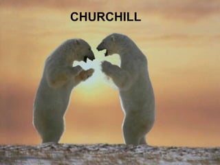 CHURCHILL

 