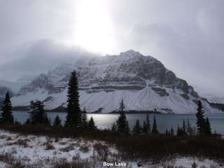 Bow Lake
 