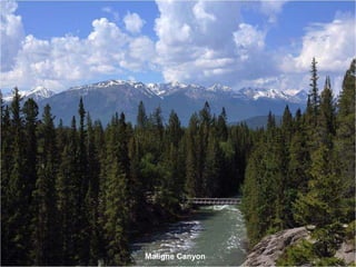 Maligne Canyon
 