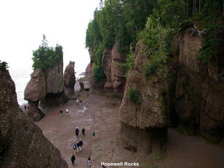 Hopewell Rocks
 