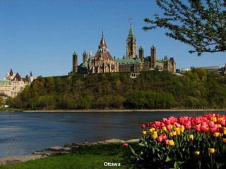 Ottawa
 