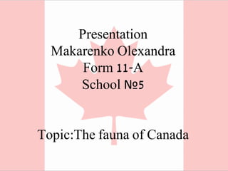 Presentation 
Makarenko Olexandra 
Form 11-A 
School №5 
Topic:The fauna of Canada 
 