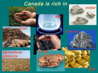gasoil
coal
iron ore
nickel
coppe
r
Canada is rich in
agricultural
products
gold
wood
 