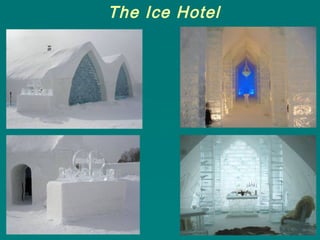 The Ice Hotel
 