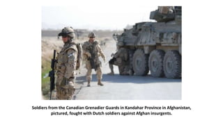 Soldiers from the Canadian Grenadier Guards in Kandahar Province in Afghanistan,
pictured, fought with Dutch soldiers against Afghan insurgents.
 