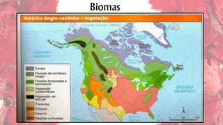 Biomas
 