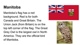 Manitoba
Manitoba’s flag has a red
background. Red is for both
Canada and Great Britain. The
Union Jack (from Britain) is on the
top left corner of the flag. The Great
Grey Owl is the largest owl in North
America. They are the official bird
of Manitoba.
 