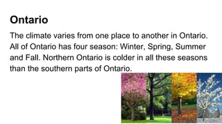 Ontario
The climate varies from one place to another in Ontario.
All of Ontario has four season: Winter, Spring, Summer
and Fall. Northern Ontario is colder in all these seasons
than the southern parts of Ontario.
 