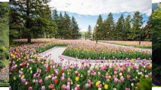 Things to do in Quebec
Botantical Garden
 