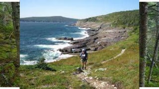 Things to do in Newfoundland
East coast trail
 