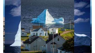 Things to do in Newfoundland
Iceburg alley
 