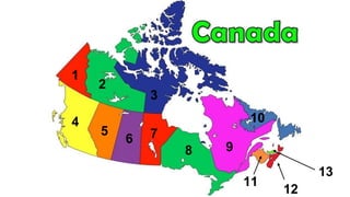 1
13
2
12
11
10
3
9
6
8
7
5
4
 