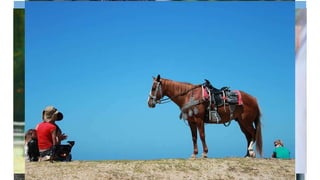 Things to Do in British Columbia
Horseback Riding
 