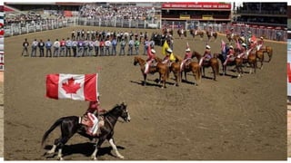 Things to do in Alberta
Calgary Stampede
 