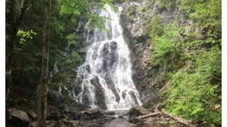 Things to do in New Brunswick
Exploring the outdoors:
- Hiking, swimming, kayaking
 