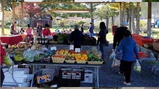 Things to do in New Brunswick
Markets
 