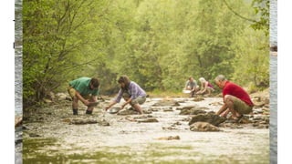 Things to do in the Yukon
Look for gold!
 