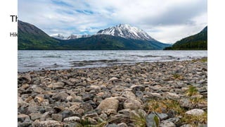 Things to do in the Yukon
Hiking, picnics, and watching animals
 