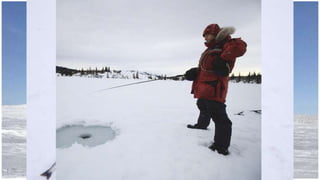 Things to do in the Nunavut
Fishing
 