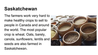 Saskatchewan
The farmers work very hard to
make healthy crops to sell to
people in Canada and around
the world. The most popular
crop is wheat. Oats, barely,
canola, sunflowers, lentils and
seeds are also farmed in
Saskatchewan.
 