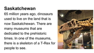 Saskatchewan
65 million years ago, dinosaurs
used to live on the land that is
now Saskatchewan. There are
many museums that are
dedicated to the prehistoric
times. In one of the museums,
there is a skeleton of a T-Rex for
people to see.
 