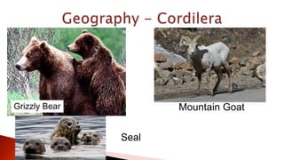 Grizzly Bear Mountain Goat
Seal
 