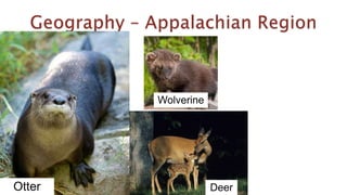 Otter
Wolverine
Deer
 