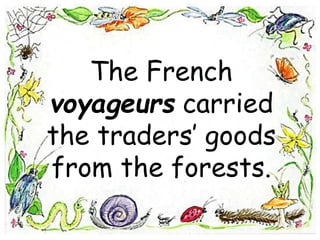 The French
voyageurs carried
the traders’ goods
from the forests.
 