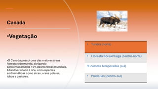 Canada
•Vegetação
•O Canadá possui uma das maiores áreas
florestais do mundo, abrigando
aproximadamente 10% das florestas mundiais.
A biodiversidade é rica, com espécies
emblemáticas como alces, ursos polares,
lobos e castores.
• Tundra (norte)
• Floresta Boreal/Taiga (centro-norte)
•Florestas Temperadas (sul)
• Pradarias (centro-sul)
 