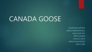 CANADA GOOSE
-SUMPUNN KAPOOR
-ABBAS BHINDERWALA
-MOUSUMI DEY
-PRITI KUMARI
-KHAYAL DAVE
-ANKUR MUKHERJEE
-KRATI JAIN
 