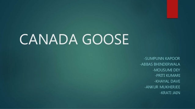 canada goose brand analysis canada goose brand analysis