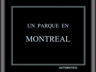 UN  PARQUE  EN MONTREAL AUTOMATICO 