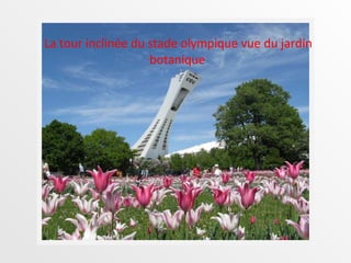 La tour inclinée du stade olympique vue du jardin botanique   